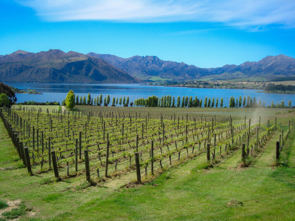 Rippon Central Otago New Zealand Wines