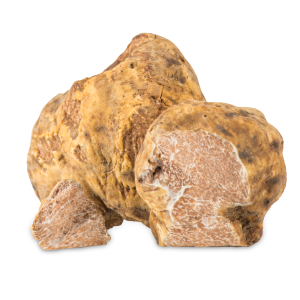 white-truffle-2