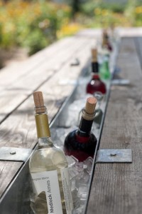 Wine cooler outdoor