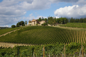 Wine Tour Tuscany Winery Italy