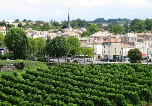 Bordeaux Wine Tour Vineyards in Blaye from La Citadelle