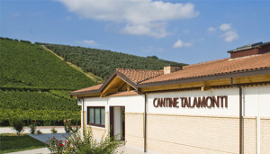 Cantine Talamonti Winery vineyards Abruzzo Italy