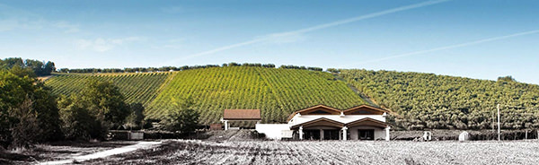 Talamonti Winery Vineyards Abruzzo Italy