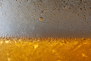 Barley, Hops, Water, and Yeast [150/366]