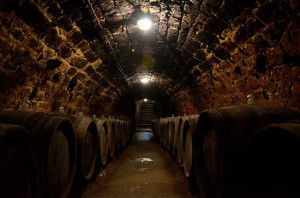 hungarian wine cellar