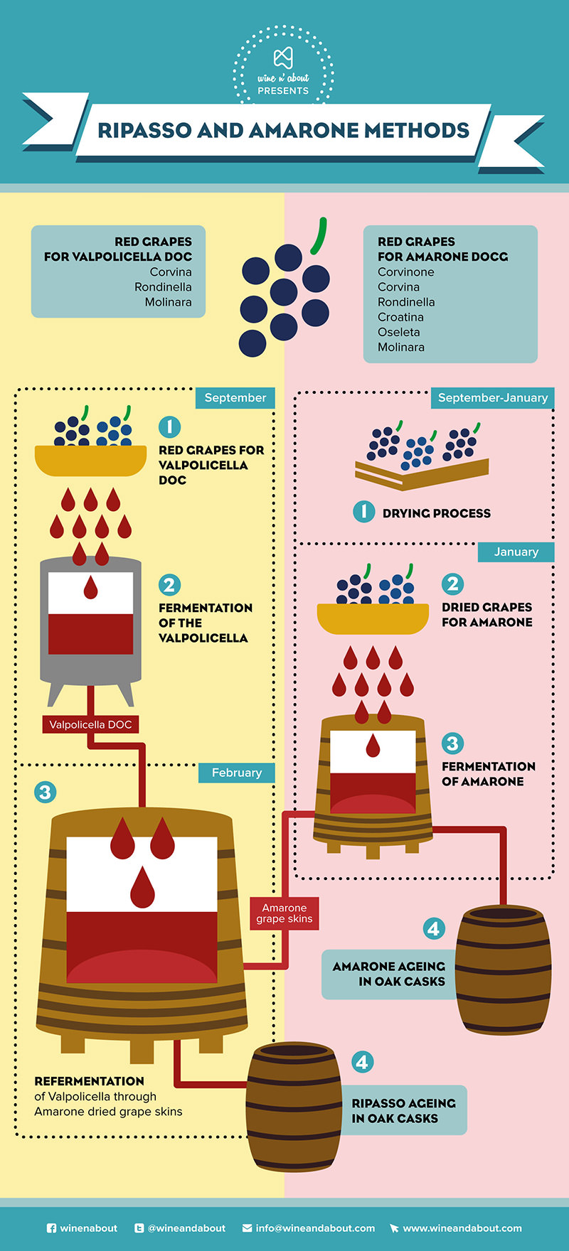 Ripasso and Amarone infographic
