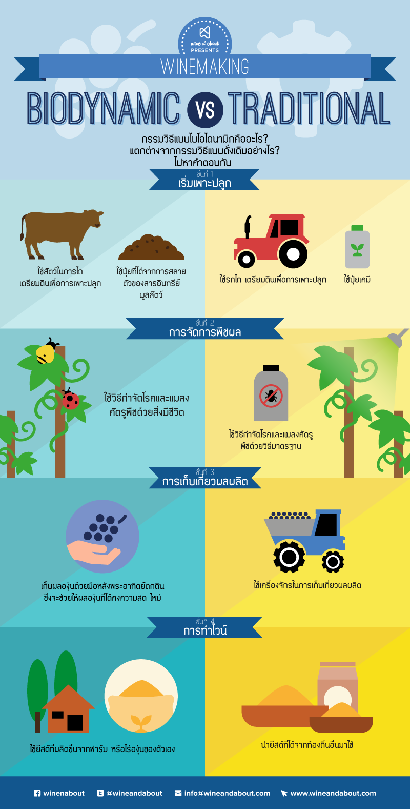 Biodynamic vs Traditional winemaking infographic thai