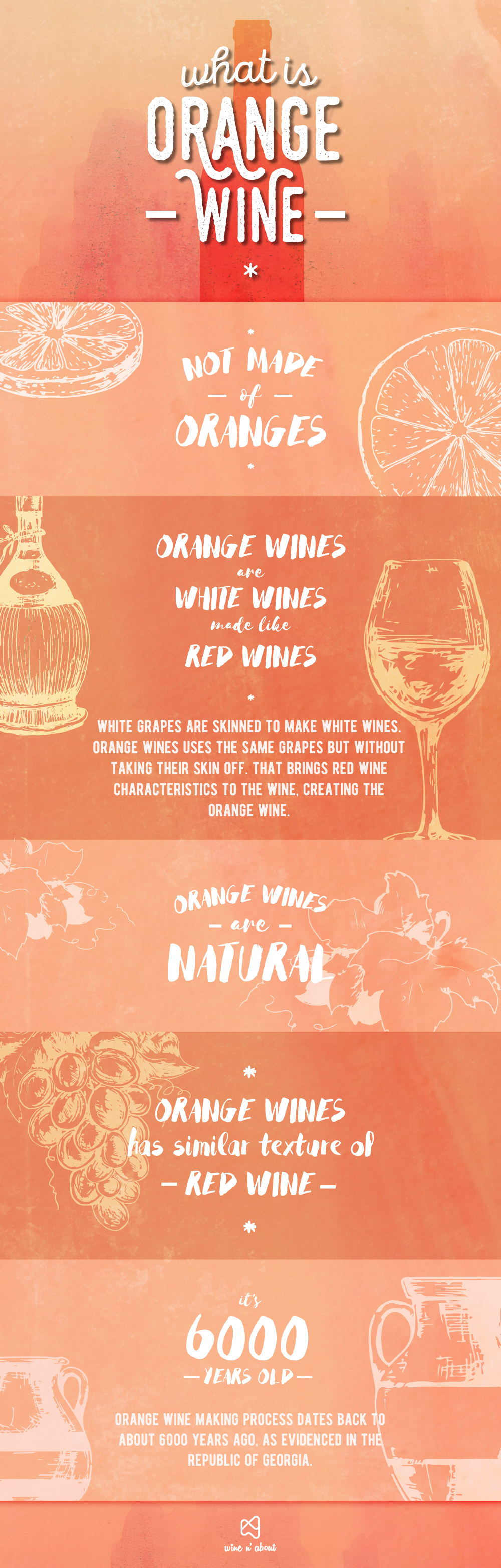 orangeWine-infographics-draft-03 (1)