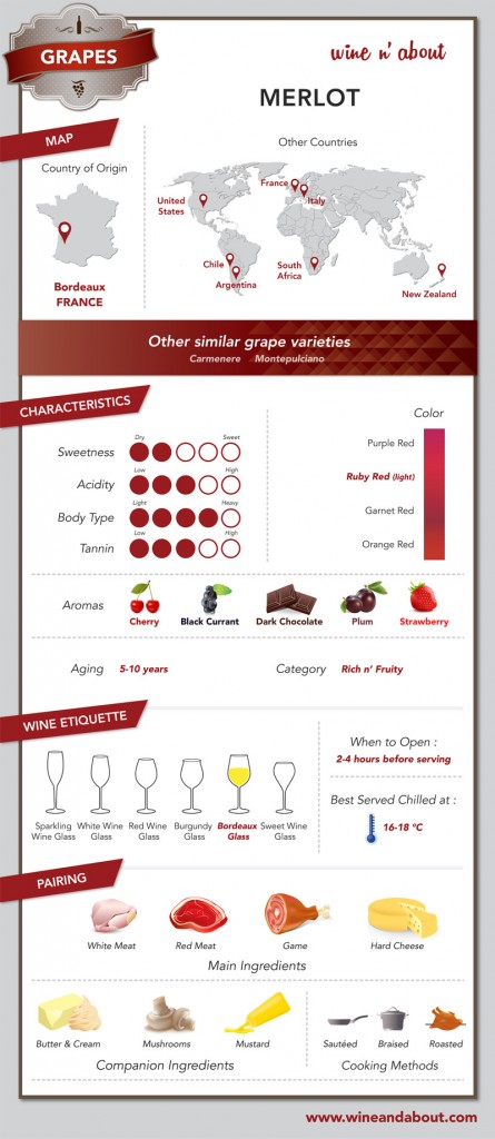 Wine n’ About | Grape: Merlot